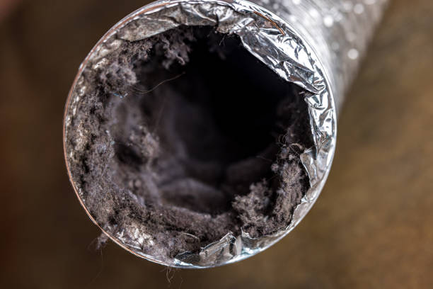 Best Air Duct Cleaning Company Near Me  in East Missoula, MT